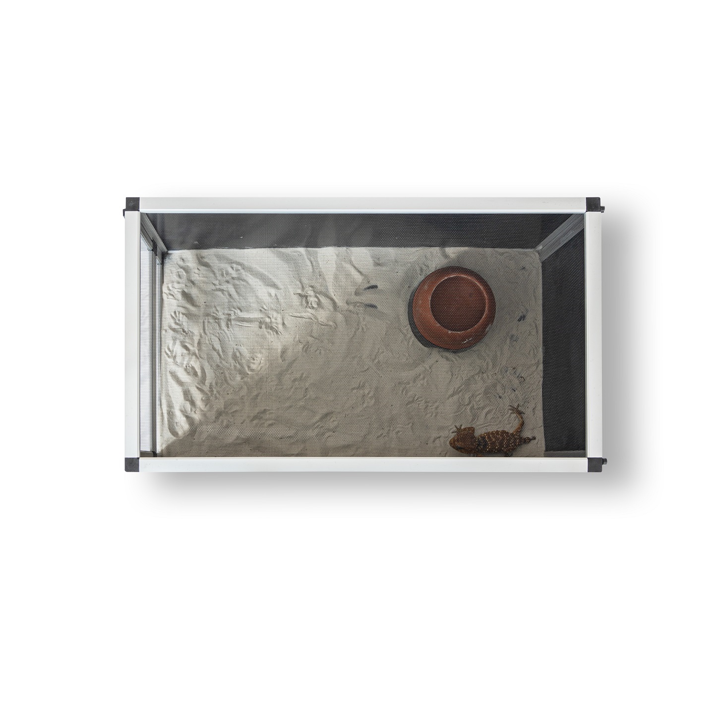 Horizontal terrarium for agams, geckos
